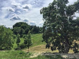 Chestnut Forest Retreat In The Apennines - - 5