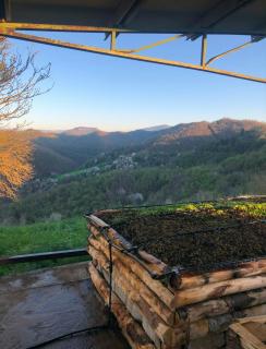 Chestnut Forest Retreat In The Apennines - - 3