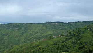 Madhuchuli Homestay - Darjeeling - 4
