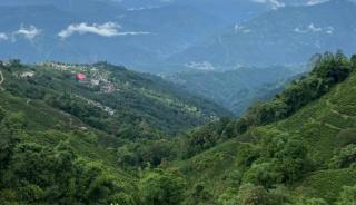 Madhuchuli Homestay - Darjeeling - 2