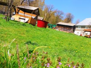 RUSTIC SEJOUR,Roşia Montana - Roşia Montană - 7