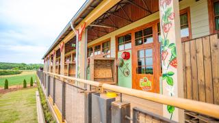 Die Karls Bande - Das Hotel - Döbeln - 4