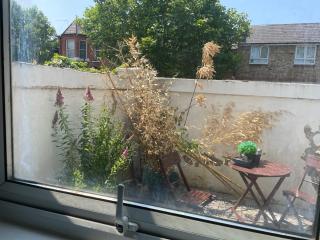 Room and private bathroom in the Whitehouse - 5