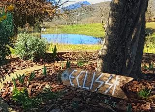 Eclissi casa vacanza LUNA - Casalini - 3