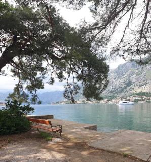 Kotor Muo F1 - 5