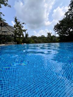 Luxury farm villa with pool near Mumbai - - 6
