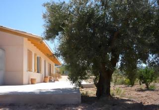 Casa Estela - Ibi - 0