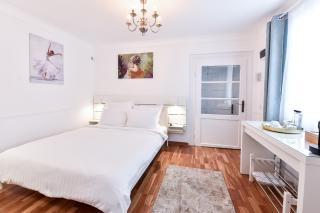 Casa Baritiu - budget - 8