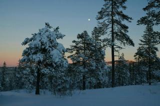 Moderne Hytte Ved Langrendsløjperne I Blefjell - Svene - 6