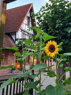 Landhaus Wohnung 30 Min bis Hamburg - - 9