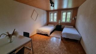 Ferienhaus Luzern - Root - 9