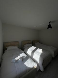 Ardiani Guesthouse - Valbonë - 9