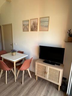 Maison de vacances en Camargue - Aigues-Mortes - 3