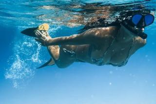 Boat Hire - Savusavu - 1
