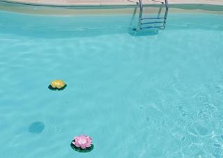 Eclissi casa vacanza LUNA - 5