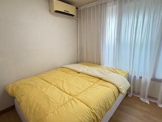 Forest at Seoul forest - 8