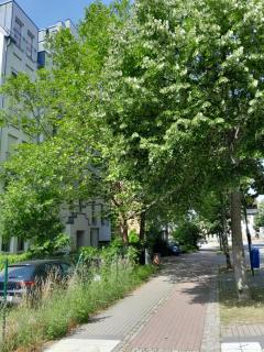 Appartement Denis - Chemnitz - 3