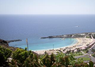 Holiday Club Jardin Amadores - Amadores - 0