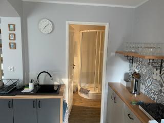 Zaciszny Apartament w Zdroju - Kudowa-Zdrój - 2