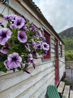 Little Heaven shepherds hut - 1