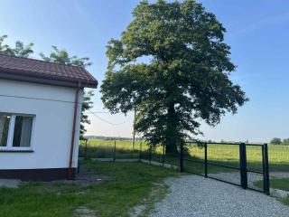 Kasztanowy Zakątek - - 7