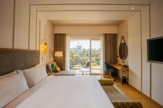 Hotel SSD Tela Plaza Near IGI Airport Delhi - Neu-Delhi - 2