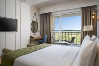 Hotel SSD Tela Plaza Near IGI Airport Delhi - Neu-Delhi - 4