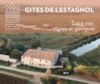 Gîtes de l'Estagnol - Villeneuve-lès-Maguelonne - 9