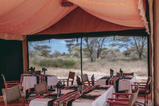 Migration UnderCanvas - Serengeti - 2