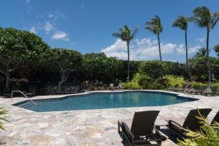 Amazing Mauna Lani Point ocean Mountain views - 7