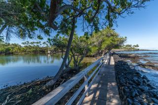 Mauna Lani Point stunning sunset and ocean views - 8