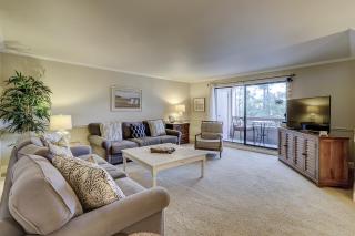924 Cutter Court at The Sea Pines Resort - 0