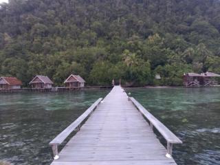 Terimakasih homestay - 5