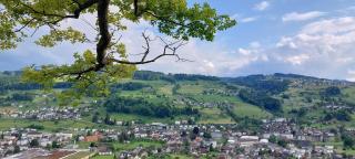 Sonnengarten - Höchst - 3