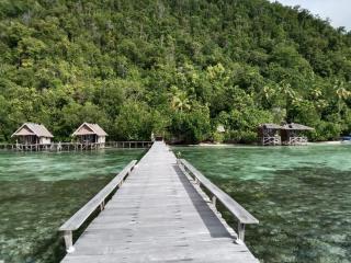 Terimakasih homestay - Pulau Mansuar - 6