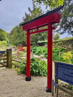 Cascades Gardens - Matlock - 7