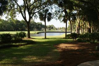 312 Beach Lagoon at The Sea Pines Resort - Hilton Head Island - 0