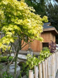 Cascades Gardens - Matlock - 8