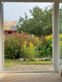 Apple Trees, Holt, Norfolk - 3