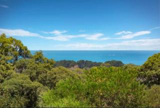 Ocean View Farm - 8