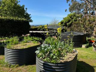 Ocean View Farm - Red Hill South - 5