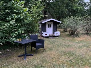 Fredfyldt Hjem Omgivet Af Marker Og Skov - 7