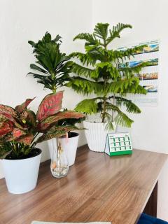 Ainazik guest house - 4