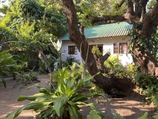 Moz-Tree Inn - Ponta do Ouro - 0