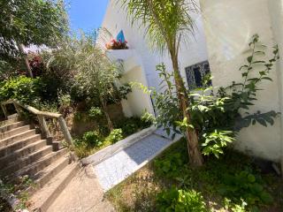 Cabolypso - Cabo Negro - 9