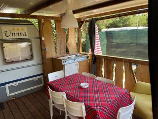 Large camper in the olive grove - Banjole - 8