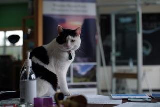 Out East Hostels - Rocky Harbour - Rocky Harbour - 9