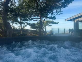 Fantastic Cabin With View Over Ytre Oslofjord - Gressvik - 1