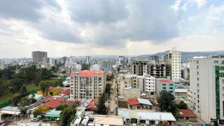 Chic Urban Apt 3 BR Downtown Addis Ababa - Addis Abeba - 2