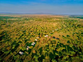 Migration UnderCanvas - Serengeti - 7